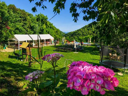 a park with a bunch of flowers in the grass at Bed and breakfast Al Turchino in Mele