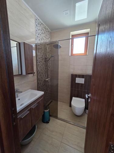 a bathroom with a toilet and a sink and a shower at Alyki Stone Houses 1 in Alyki