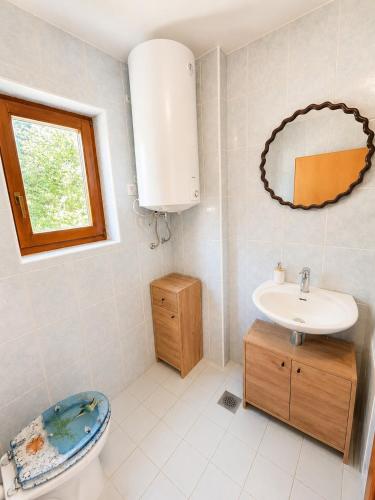 a bathroom with a sink and a toilet and a mirror at Digital Detox House Haloze in Podlehnik