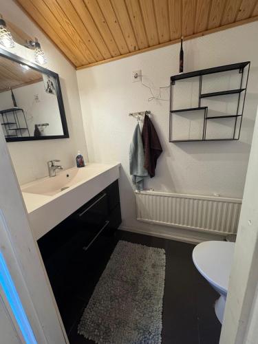 a bathroom with a sink and a mirror and a toilet at Villa Aurora in Rovaniemi