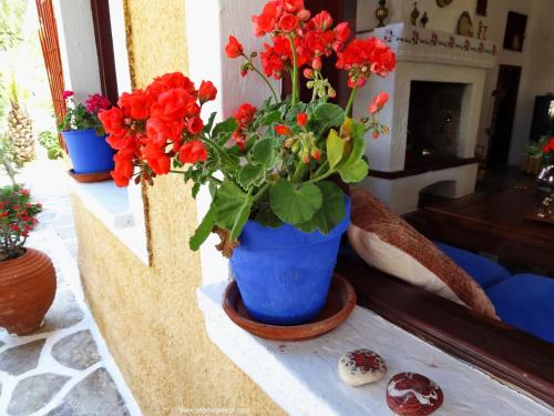 a blue vase with red flowers on a table at Vagia Traditional, Aegina Island in Vaia