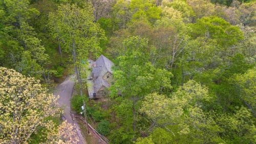 an old house in the middle of a forest at Tree-Top Chalet in Logan