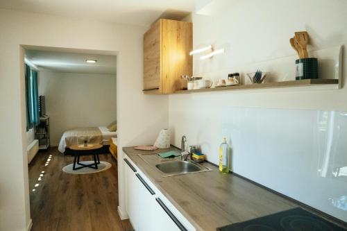 a kitchen with a sink and a counter top at Montis Bled in Bled
