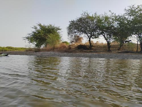 a body of water with trees in the background at Résidence Tina 1 in Ngalou Sessène