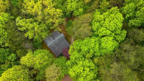 an overhead view of a building in the middle of a forest at Hemlock Hideaway in South Bloomingville