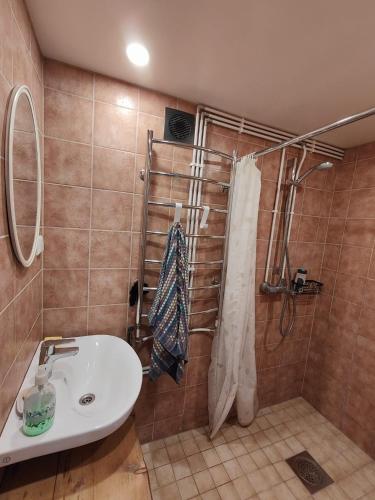 ein Badezimmer mit Waschbecken und Dusche in der Unterkunft Tamme in Otepää