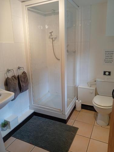 a bathroom with a shower and a toilet at Maroux Vian Country Cottage in Callac