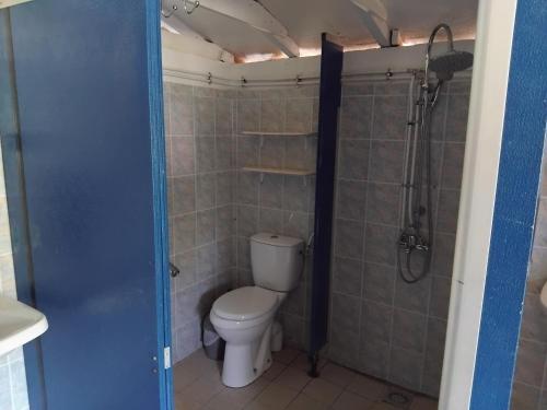 a bathroom with a toilet and a shower at N1 Emplacement tente van camping-car in Saint-Aubin-de-Nabirat