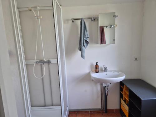 a bathroom with a shower and a sink at Steinhúsið in Hólmavík