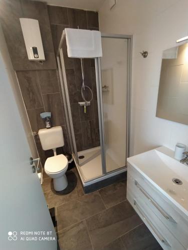 a bathroom with a shower and a toilet and a sink at Holidayapartment Bella Napoli in Liblar