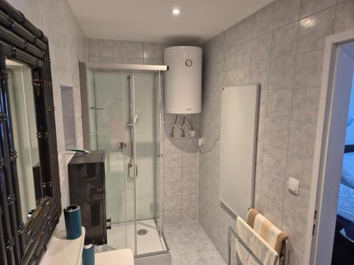 a bathroom with a shower and a glass shower stall at Langerhof in Hannersdorf