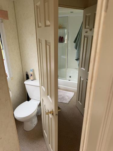 a bathroom with a toilet and a bath tub at Английский домик in Lapmežciems