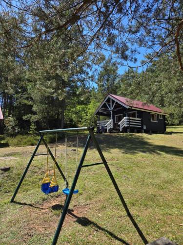 a swing in a yard with a house in the background at Niebieski domek na Kaszubach in Dziemiany