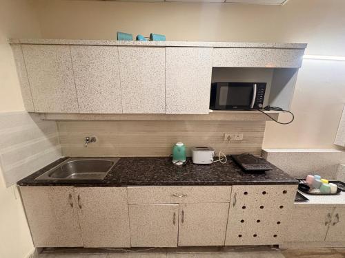 a small kitchen with a sink and a microwave at Skyline suites in Greater Noida