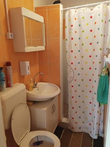 a bathroom with a toilet and a shower curtain at Fa-mìlia Vendègház in Tiszavasvári