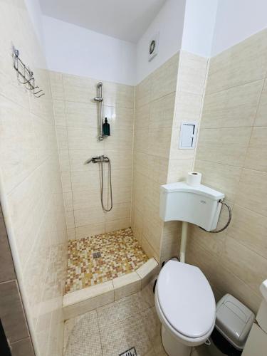 a bathroom with a toilet and a shower at Apartament Alfa Saturn in Saturn