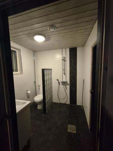 a bathroom with a toilet and a sink at Villa Herttala in Jyväskylä