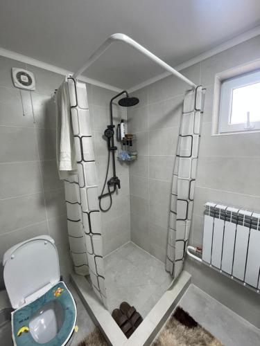 a bathroom with a shower with a toilet at Kutbi Guest House in Bokonbayevo