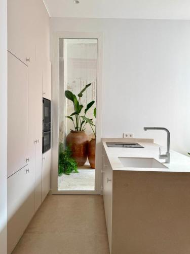 a white kitchen with a sink and a potted plant at Apartamento La Font in Pego