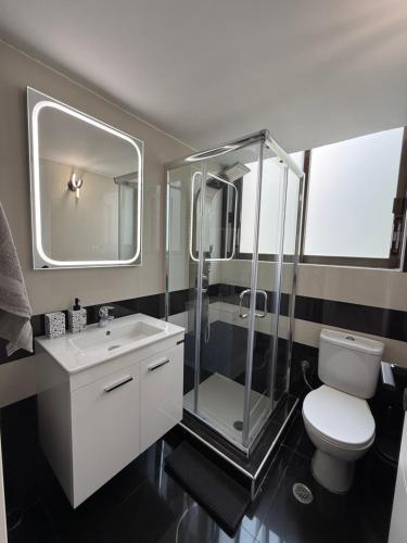 a bathroom with a shower and a toilet and a sink at Notos Suites in Athens