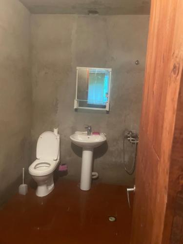 a bathroom with a toilet and a sink at Lake View Sioni in Sioni