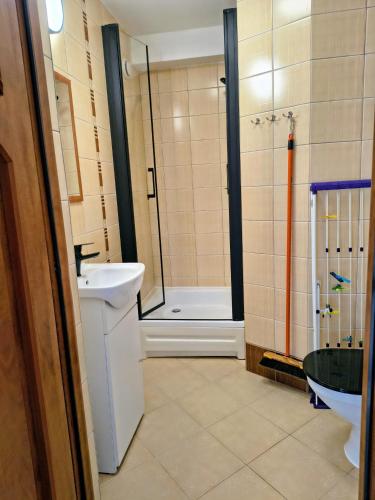 a bathroom with a shower and a sink and a toilet at Willa WiK in Rewal