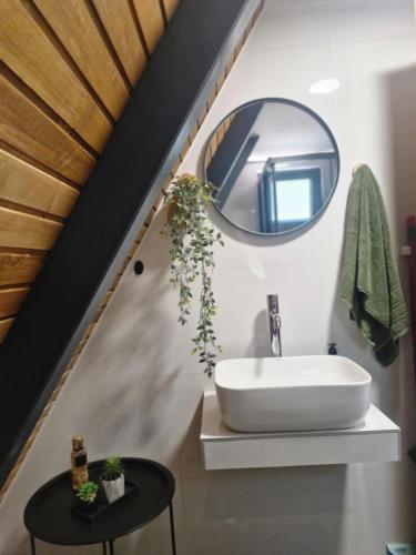 ein Badezimmer mit Waschbecken und Spiegel in der Unterkunft Pineta in Nišići