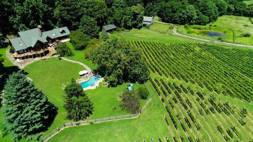 an aerial view of a house in a vineyard at Vinewood Estate & Adventures in Purcellville