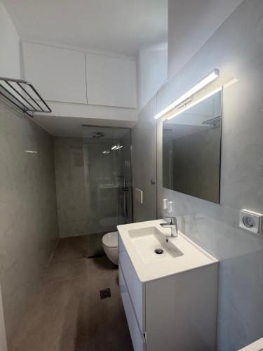 a bathroom with a white sink and a toilet at Il Castello 1800 in Trifilliánika