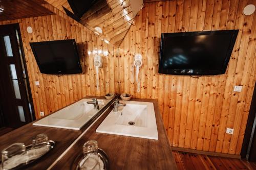 a bathroom with a sink and a tv on a wooden wall at Vila Hubertus in Avrig