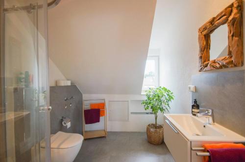 a bathroom with a toilet and a sink and a shower at Loft Heidelberg West in Heidelberg
