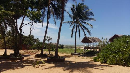 a group of palm trees and a hammock on a beach at Wellé Wadiya Beach Villa in Kalpitiya