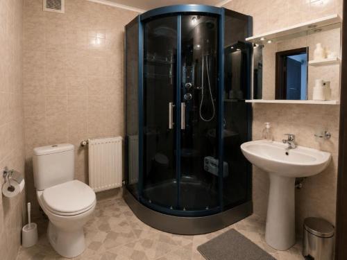 a bathroom with a shower and a toilet and a sink at Millenium Castle Sibiu - Parking on Site - BIKERS' Haven in the Heart of Romania's Legendary Roads - Rest in Comfort # in Sibiu
