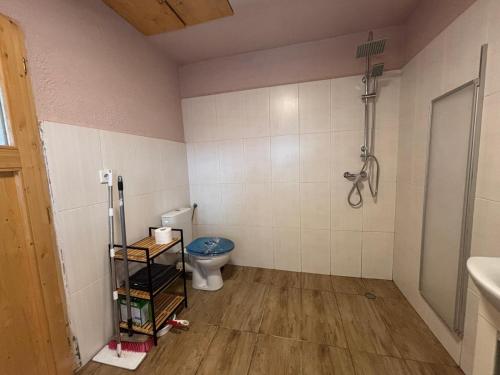 a bathroom with a toilet and a shower at Neubeginn 2 - Zimmer A in Hildburghausen