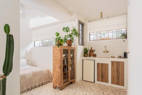 Stylish & bright semi basement studio