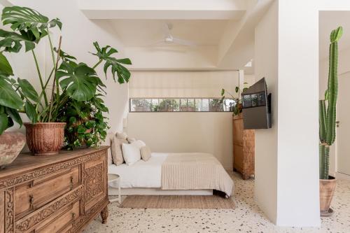 Stylish & bright semi basement studio