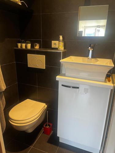 Lovely studio for rent in Paris 17