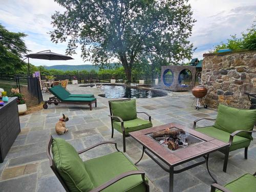 a dog sitting on a patio with a fire pit at Vinewood Estate & Adventures in Purcellville