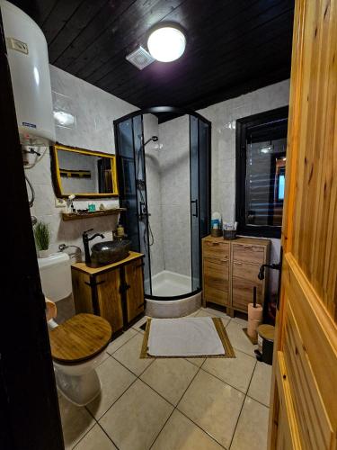 a bathroom with a shower and a toilet and a sink at Kuća za odmor Štefi in Donji Koncovčak
