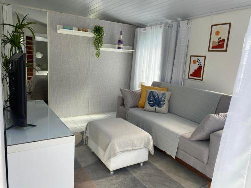 a living room with a couch and a tv at Anitápolis central -apartamento com jardim in Annitapolis