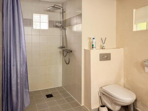 a bathroom with a shower with a toilet and a shower curtain at Charming chalet with Pond in Kortessem in Tongeren