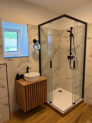 a bathroom with a shower and a sink at Apartmán Mnichov in Vrbno pod Pradědem