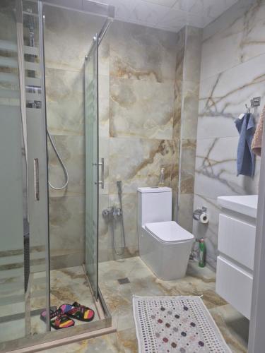 a bathroom with a shower and a toilet and a sink at Jasmin Park in Baku