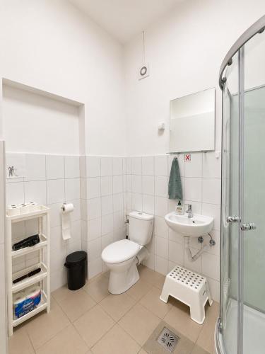 a bathroom with a toilet and a sink and a shower at Konvoj szálló in Budapest