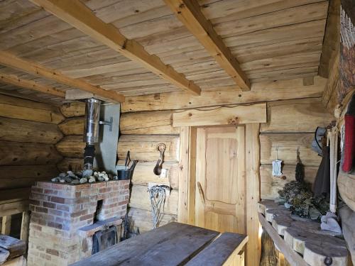a log cabin with a fireplace and a wooden wall at Eco Retreat Saunahaus in Putgarten