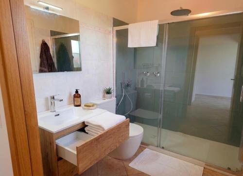 a bathroom with a toilet and a sink and a shower at Terrazza Ganzaria in San Michele di Ganzaria