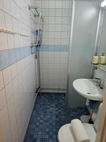 a bathroom with a sink and a toilet at Kylpylä-Hotelli 364 in Ikaalinen