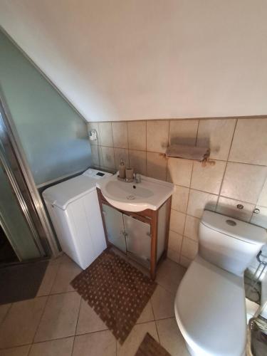 a small bathroom with a toilet and a sink at Agroturystyka Kalina Wielka in Kalina Wielka