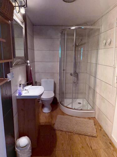 a bathroom with a shower and a toilet and a sink at Dom nad rzeką in Neple