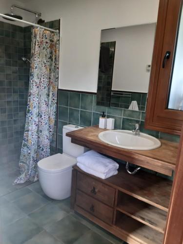 a bathroom with a toilet and a sink at Eguzkitze Habitacion Rural Independiente in Abaltzisketa